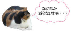 ダイエット停滞期の悩みドラッグフリーで解決