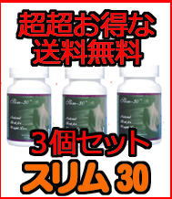 ¥À¥¤¥¨¥Ã¥È¥µ¥×¥ê¥¹¥ê¥à30Á÷ÎÁ̵ÎÁ